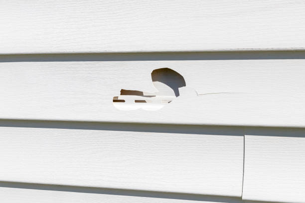 Affordable Siding Repair and Maintenance Services in Spring Glen, UT